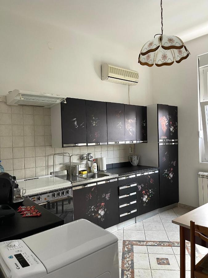 דירות בלגרד Apartman Alba מראה חיצוני תמונה